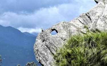 Chauli Ki Jali cliff in Mukteshwar